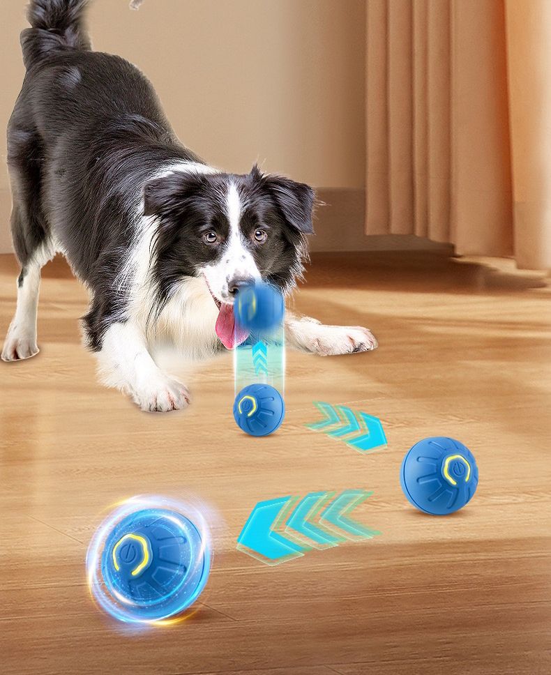 Pelota inteligente para mascotas con luces LED jugando con perro